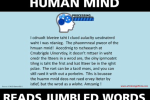 The Amazing Human Mind